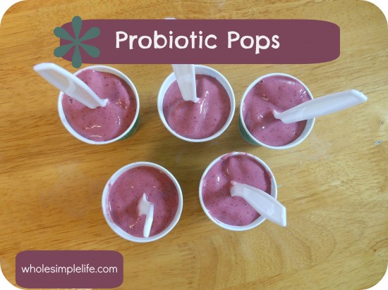 Probiotic Pops | https://www.hannahhepworth.com #yogurt #kefir #probioticpopsicles