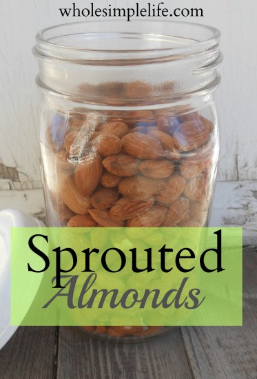 Sprouted Almonds | https://www.hannahhepworth.com #almonds #sprouted #crispynuts #healthy #nutrition #food